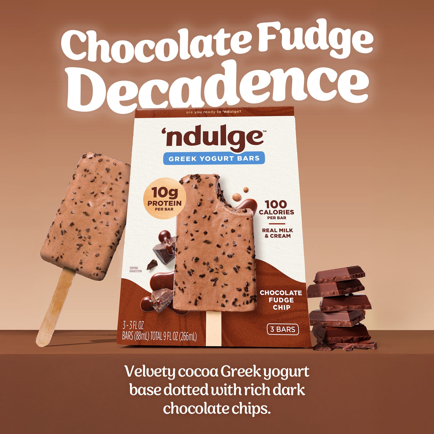 Chocolate Fudge Chip