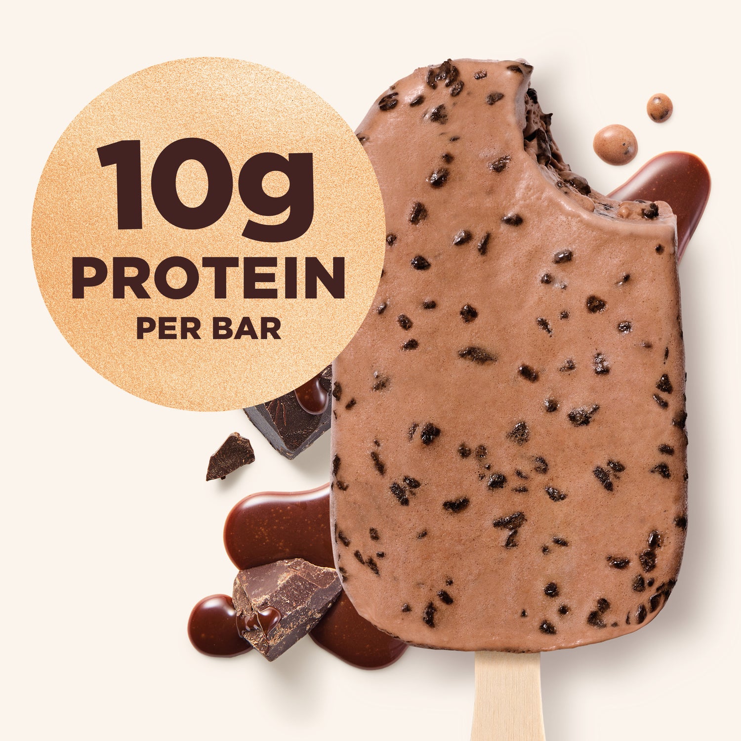 Chocolate Fudge Chip