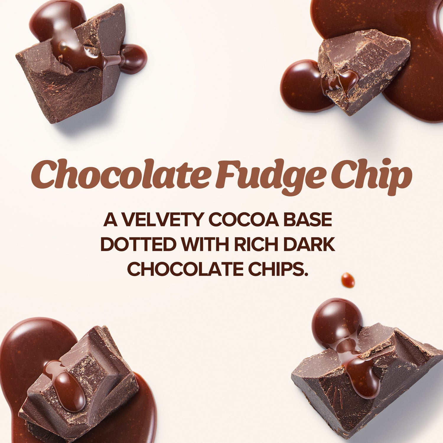 Chocolate Fudge Chip