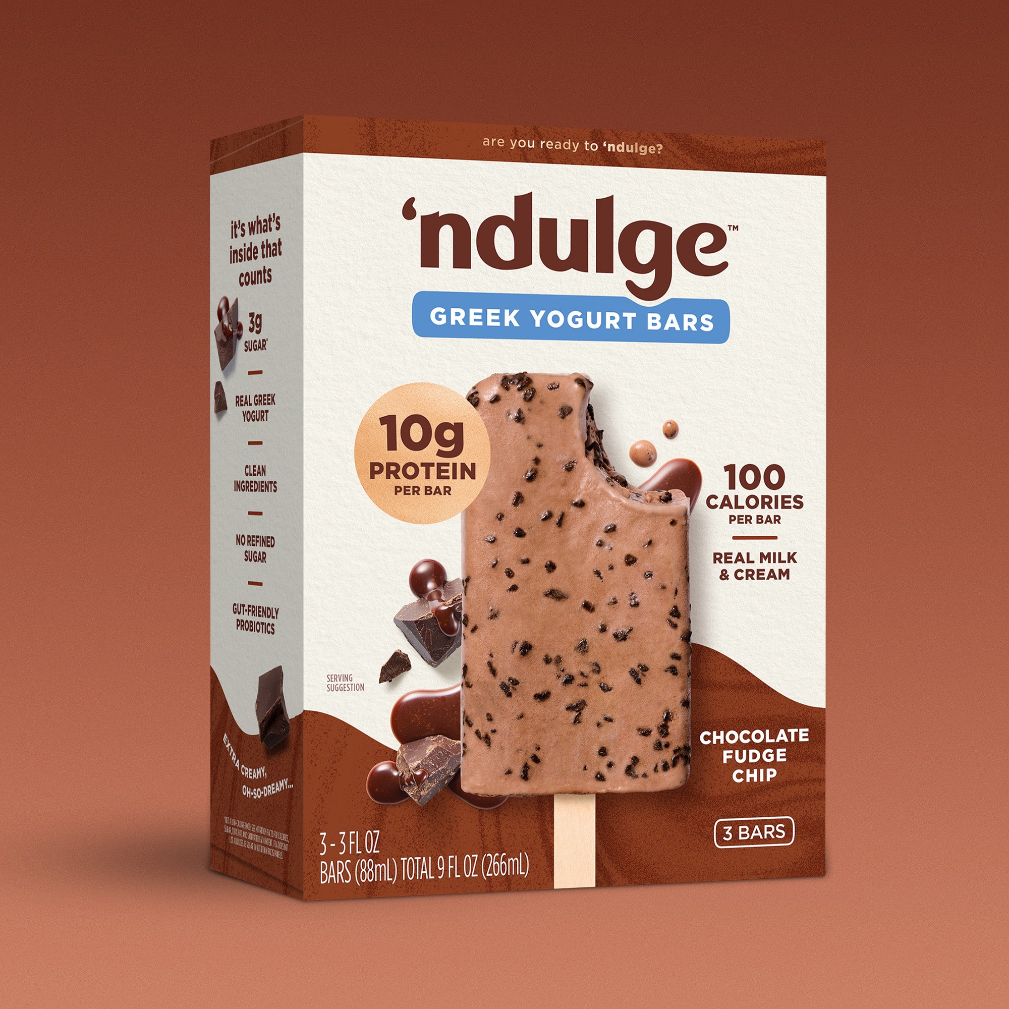 Chocolate Fudge Chip